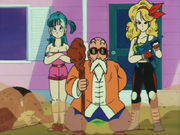 Bulma KameHouse.png