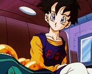 Videl sagabuu.jpg