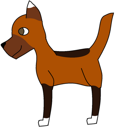 Dash