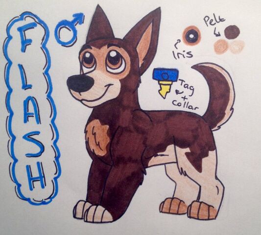File:Flash.jpeg