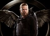 Mockingjay-pollux-poster