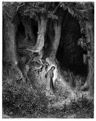 File:Spooky-forest-1.jpg