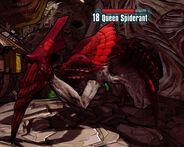 QueenSpiderant1