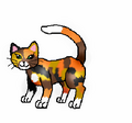 Thumbnail for version as of 17:08, November 25, 2011