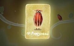 2159272-mrpoppyhead large