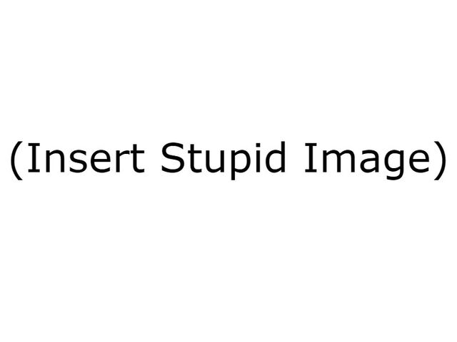 File:Insert Stupid Image.jpg