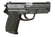 SIG Pro