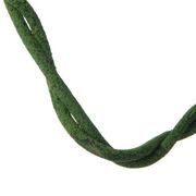 Vine