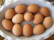 Brown Egg