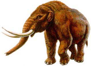 Arquivo:Mastodonte.jpg