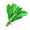 Green grass.png