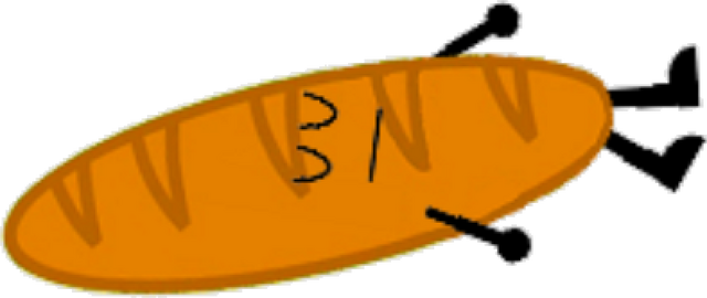File:Sleeping Baguette.png