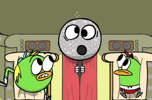 11