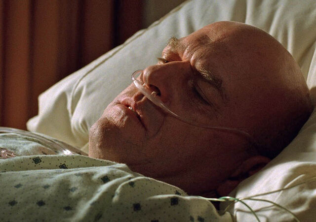 File:BBS3Hank.jpg