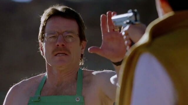 File:1x01 - Walt at gunpoint.jpg