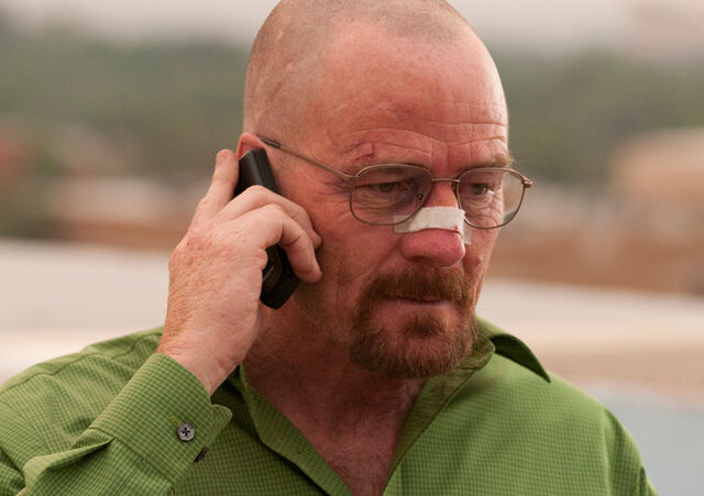 File:Ep13-walt.jpg