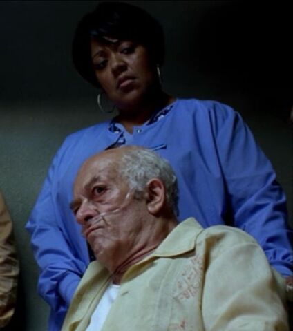 File:HectorsNurse2x3.jpg