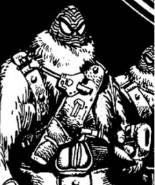 Kansyr