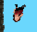 Flip kick