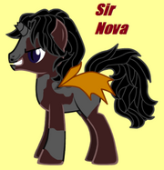 Sir Nova