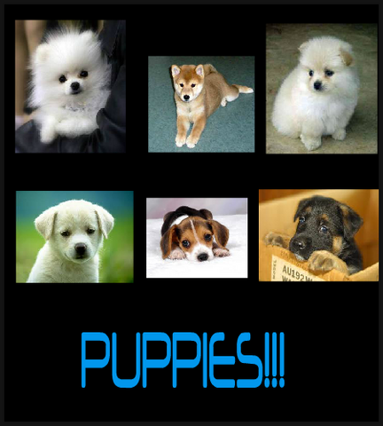 File:My Logo.png
