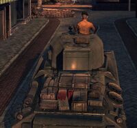 SFirefly.jpg