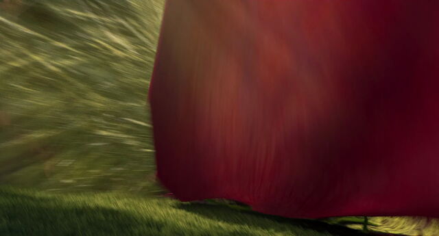 File:Ice-age3-disneyscreencaps.com-4739.jpg