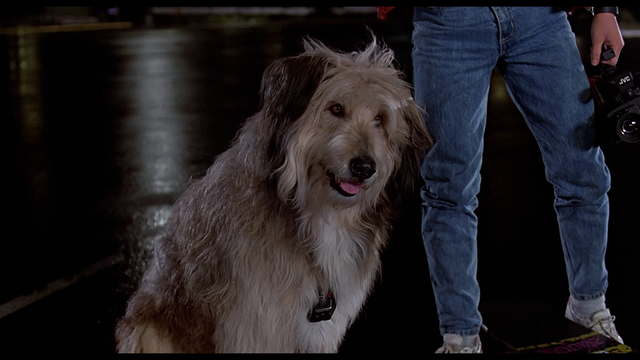File:Smallerback to the future 12.png