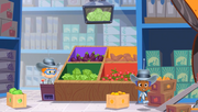 Fruit Camp B