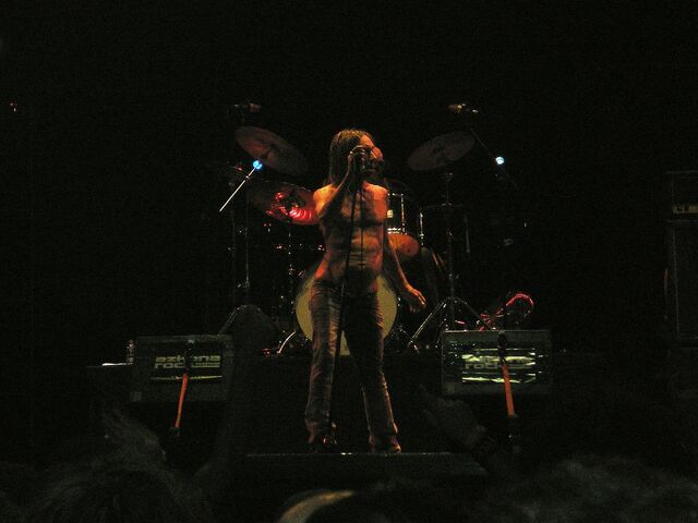 File:Iggy Pop.jpg
