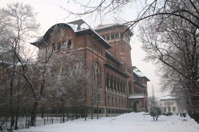 Fișier:Muzeul Taranului Roman1.jpg