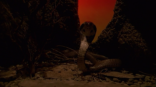 File:Cobra.png
