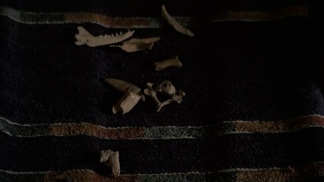 File:Casting bones.jpg