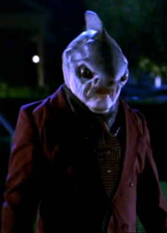 File:Shark1.jpg