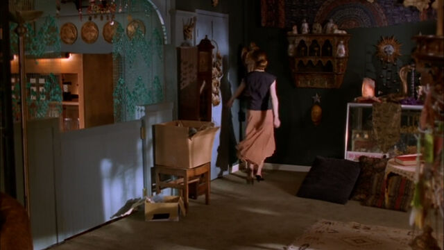 File:Door-to-Magic-Box-Basement.jpg