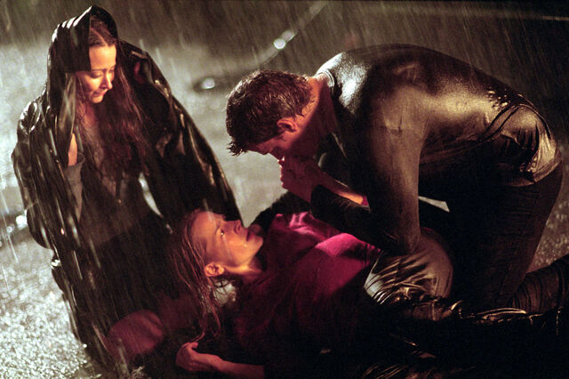 File:Lullaby.jpg
