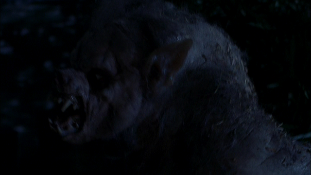 File:Nina as werewolf.png