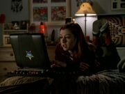 Willowsroom
