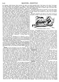 Page623-435px-EB1911 - Volume 17.djvu