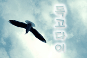 독고다이.gif