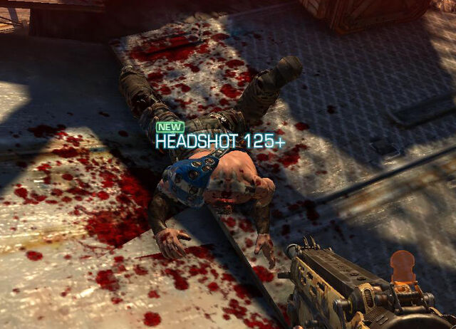 File:Head shot.jpg