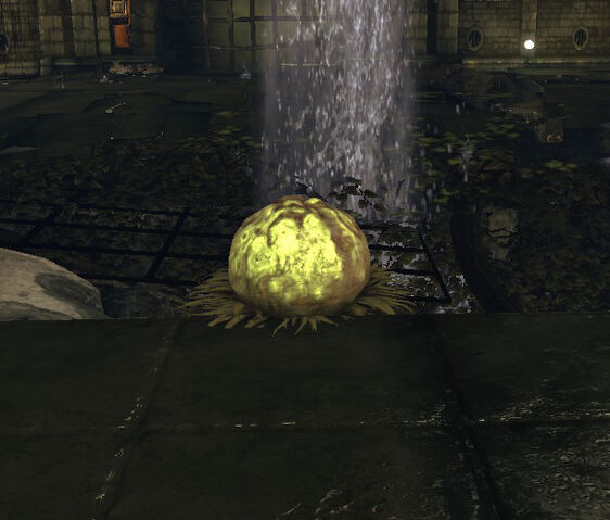 File:Puffball.jpg