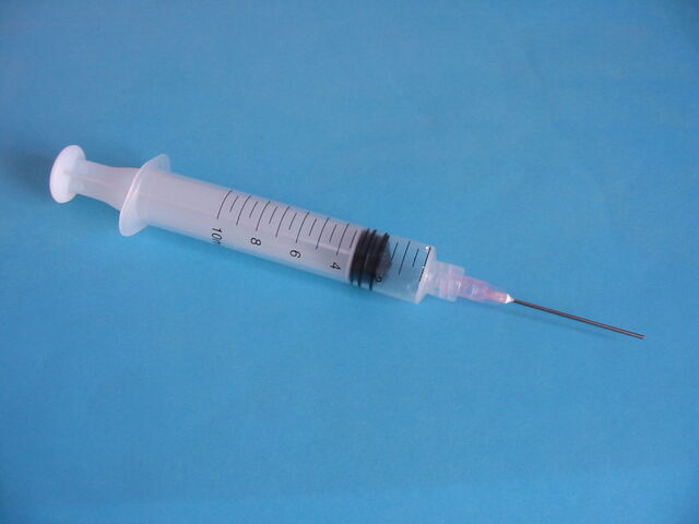 檔案:Syringe2.jpg