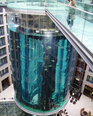 檔案:AquaDom von Oben.jpg