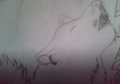 Thumbnail for version as of 09:07, May 30, 2011