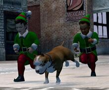 Elves