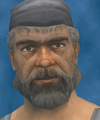 The Hobo