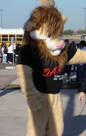 File:Daren2.jpg