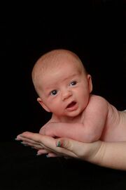 Chubbz