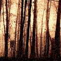 Th title-tombsgrave